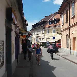 Vandrarhem Sleeping Beauty, Ljubljana